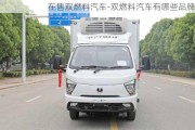 在售双燃料汽车-双燃料汽车有哪些品牌