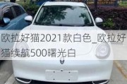 欧拉好猫2021款白色_欧拉好猫续航500曙光白