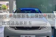 比亚迪海豚新车异味如何解决_比亚迪海豚新车