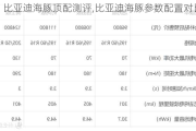 比亚迪海豚顶配测评,比亚迪海豚参数配置对比表