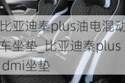 比亚迪秦plus油电混动车坐垫_比亚迪秦plus dmi坐垫