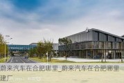 蔚来汽车在合肥哪里_蔚来汽车在合肥哪里建厂