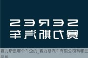 赛力斯是哪个车企的_赛力斯汽车有限公司有哪些品牌