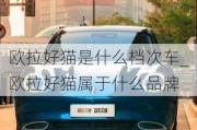 欧拉好猫是什么档次车_欧拉好猫属于什么品牌