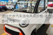 迷你代步汽车油电两用价格-迷你型电汽车