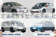 比亚迪海豚车型介绍大全_比亚迪海豚 suv