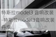 特斯拉model3 音响改装-特斯拉model3音响改装丹拿