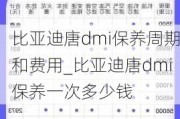 比亚迪唐dmi保养周期和费用_比亚迪唐dmi保养一次多少钱