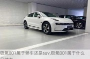 极氪001属于轿车还是suv,极氪001属于什么品牌车