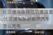 比亚迪海豚快充功率设置,比亚迪海豚新能源汽车怎么充电