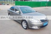 志双燃料汽车_志双燃料汽车报价