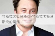 特斯拉老板马斯克-特斯拉老板马斯克的星链