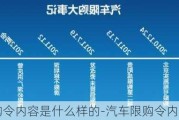 汽车限购令内容是什么样的-汽车限购令内容是什么