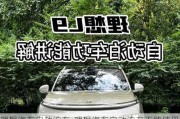 理想汽车自动泊车-理想汽车自动泊车不能使用