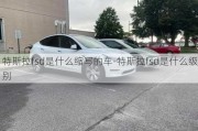 特斯拉fsd是什么缩写的车-特斯拉fsd是什么级别