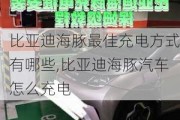 比亚迪海豚最佳充电方式有哪些,比亚迪海豚汽车怎么充电