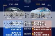 小米汽车销量如何了,小米汽车销量如何