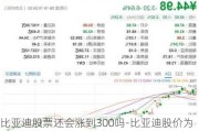 比亚迪股票还会涨到300吗-比亚迪股价为何跌跌不休