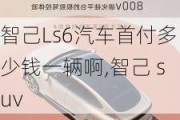 智己Ls6汽车首付多少钱一辆啊,智己 suv