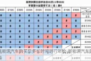 新能源汽车购买后多长时间进行年检-新能源汽车购买