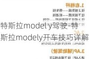 特斯拉model y驾驶-特斯拉modely开车技巧详解