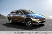 特斯拉有suv车型吗-特斯拉有几款suv