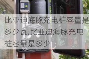 比亚迪海豚充电桩容量是多少瓦,比亚迪海豚充电桩容量是多少