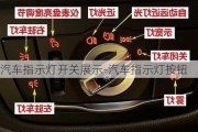 汽车指示灯开关展示-汽车指示灯按钮