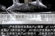 发动燃烧不好,汽油味重什么意思-汽车燃烧不好有汽油味怎么办