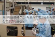 苏州哈曼待遇员工-哈曼汽车电子苏州有限公司里面做什么的