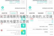 比亚迪海豚充电量怎么查询的,比亚迪海豚充电量怎么查询