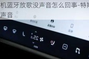 特斯拉手机蓝牙放歌没声音怎么回事-特斯拉手机蓝牙放歌没声音