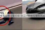 浙江特斯拉撞交警后续-浙江一特斯拉撞倒两名交警