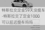 特斯拉交定金59天没提车-特斯拉交了定金1000可以延迟提车吗吗