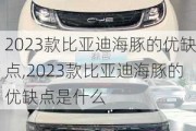 2023款比亚迪海豚的优缺点,2023款比亚迪海豚的优缺点是什么