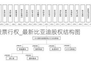 比亚迪股票行权_最新比亚迪股权结构图