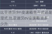比亚迪汉dm变速箱是干式还是湿式,比亚迪汉ev变速箱油多少升