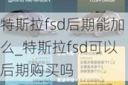 特斯拉fsd后期能加么_特斯拉fsd可以后期购买吗