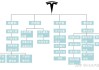 特斯拉职级与级别一览表2023-特斯拉职务