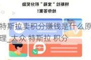 特斯拉卖积分赚钱是什么原理_大众 特斯拉 积分