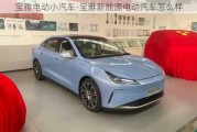 宝雅电动小汽车-宝雅新能源电动汽车怎么样