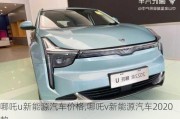 哪吒u新能源汽车价格,哪吒v新能源汽车2020款