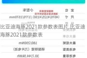 比亚迪海豚2021款参数表图片,比亚迪海豚2021款参数表