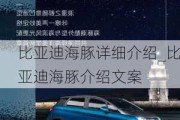 比亚迪海豚详细介绍_比亚迪海豚介绍文案