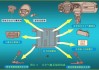 汽车安全气囊控制系统-汽车安全气囊系统示教板