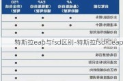 特斯拉eap与fsd区别-特斯拉fsd和eap