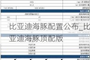 比亚迪海豚配置公布_比亚迪海豚顶配版