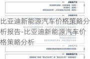 比亚迪新能源汽车价格策略分析报告-比亚迪新能源汽车价格策略分析