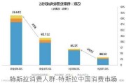 特斯拉消费人群-特斯拉中国消费市场