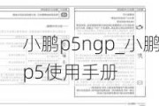 小鹏p5ngp_小鹏p5使用手册